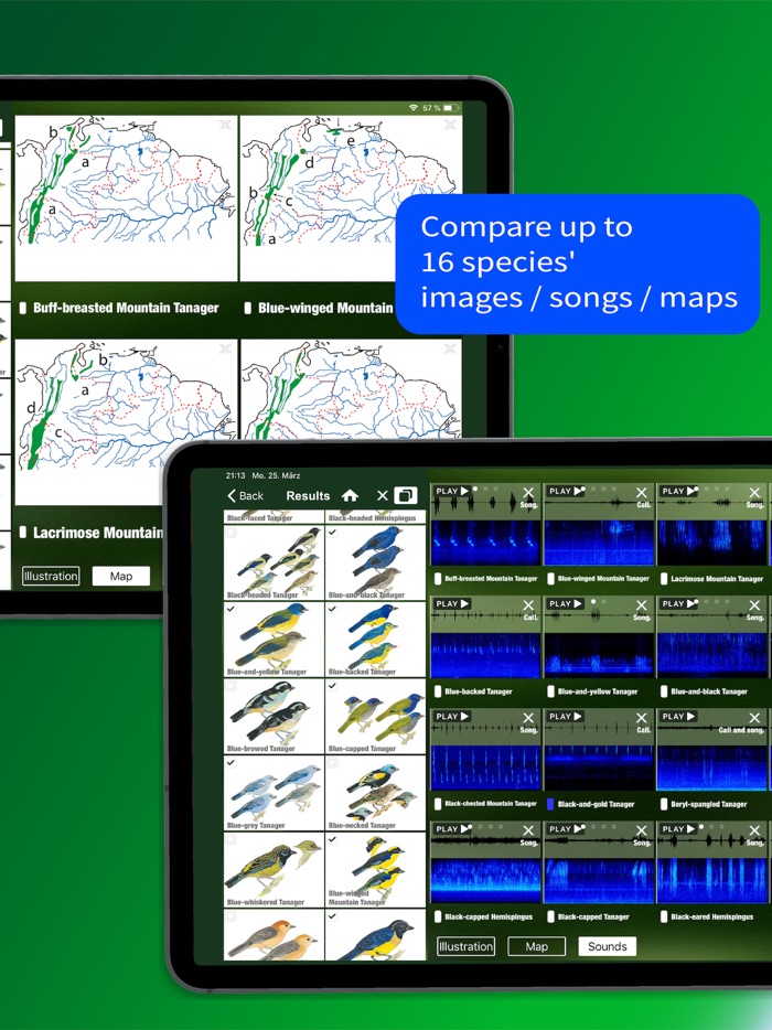 All Birds North. South America