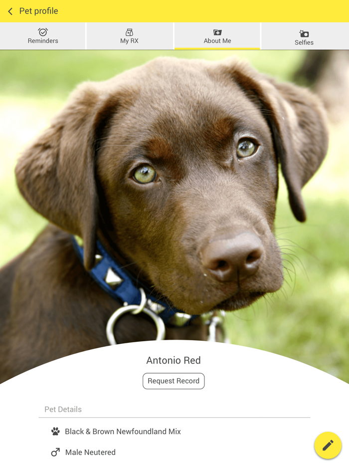 Village Animal Clinic