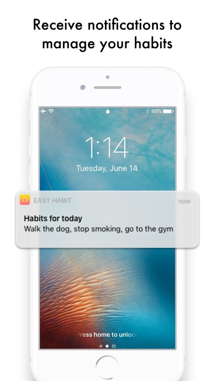 Easy Habit - Goals Reminder