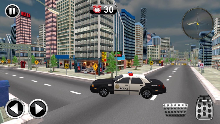 Police Car Drive Simulator