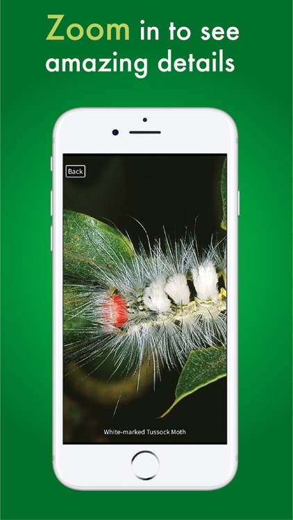 Caterpillar Id USA East Coast screenshot-9
