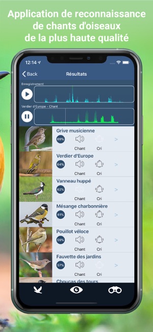 Chants d’oiseaux automatique(圖3)-速報App