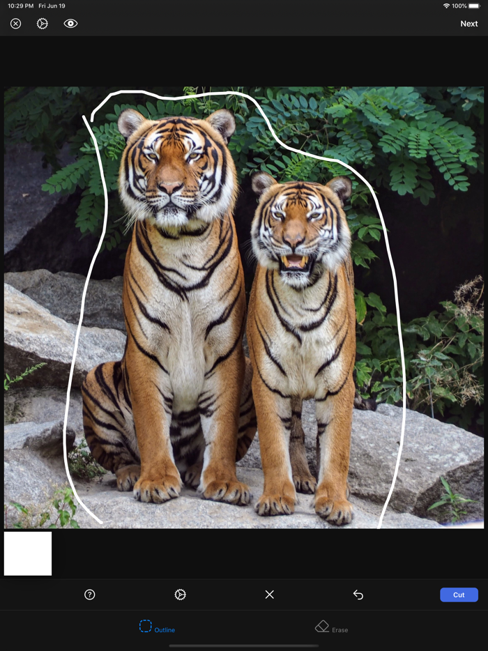 Photo Cut - Background Editor