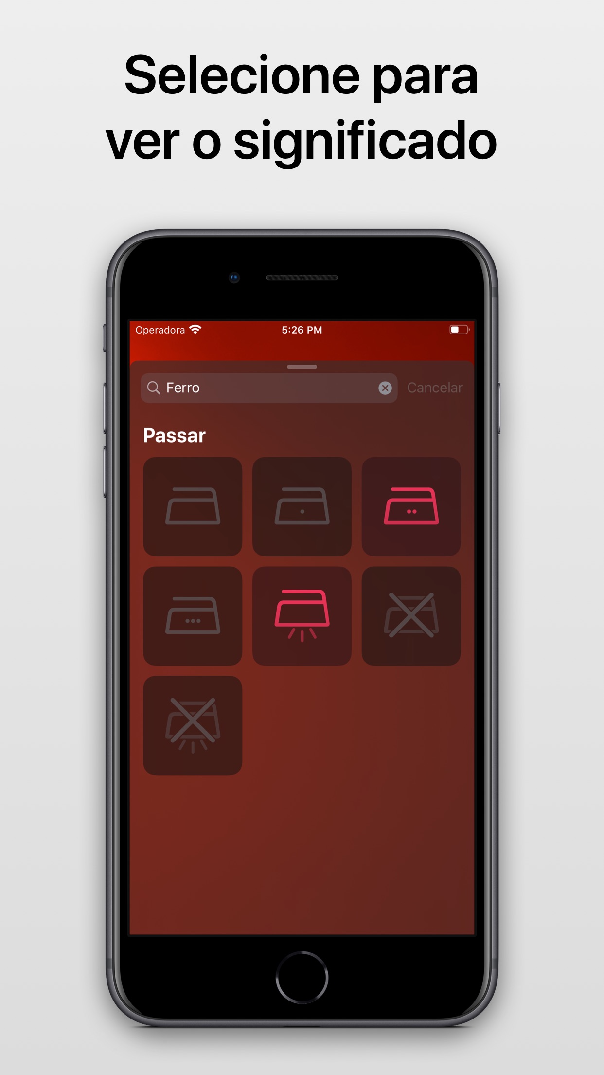 Screenshot do app Laundry Lens