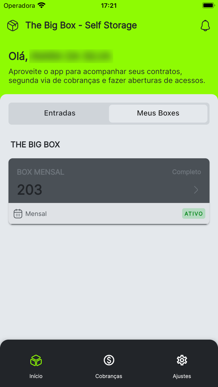 The Big Box - Self Storage