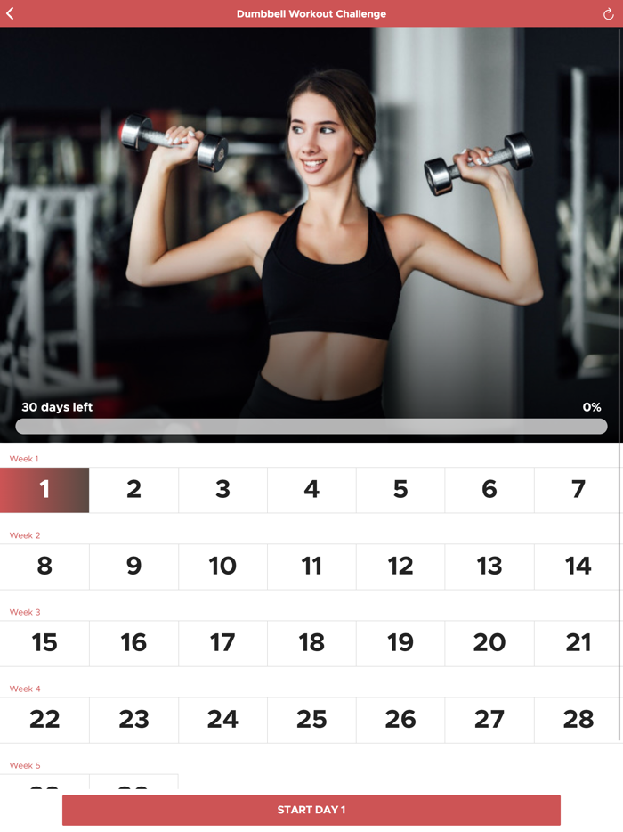 Brazos Tonificados para Mujer