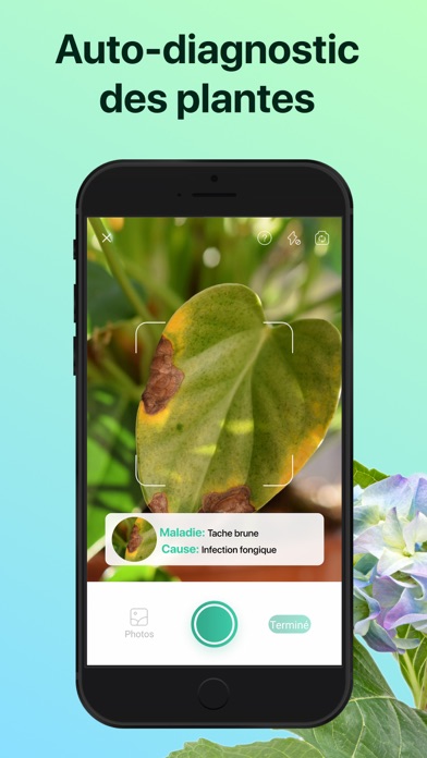 PictureThis:Identifier Plantes PictureThis:Identifier Plantes