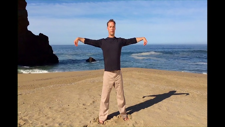 Qi Gong 30 Day Challenge screenshot-5