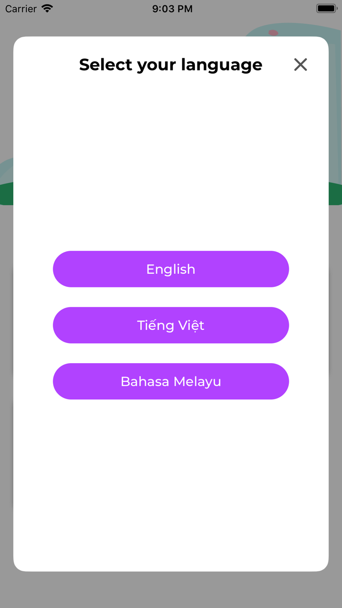 Japanese Widget JLPT