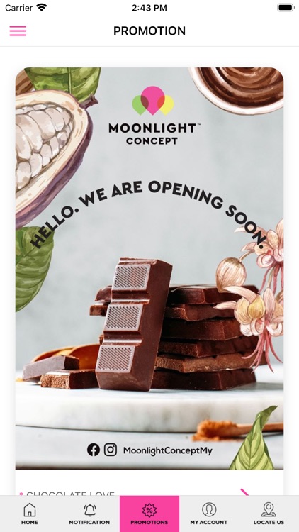 Moonlight Concept screenshot-3