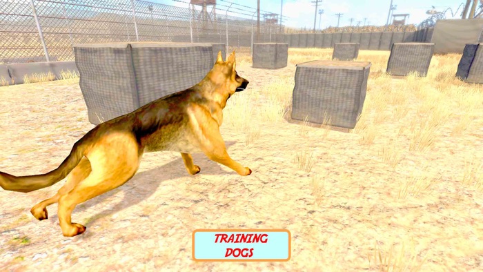 US Military Academy 2020