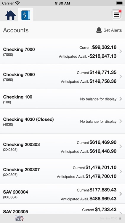 Texstar National Bank Business screenshot-3