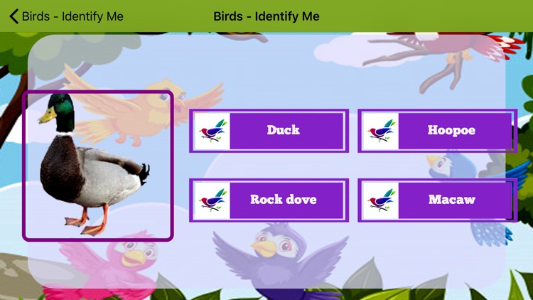 Birds - Identify Me screenshot-3
