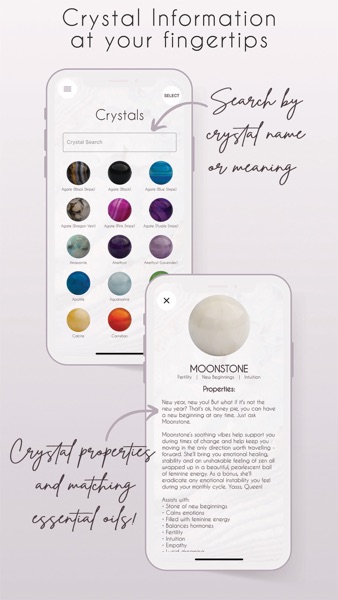 【图】Crystal Keeper(截图1)