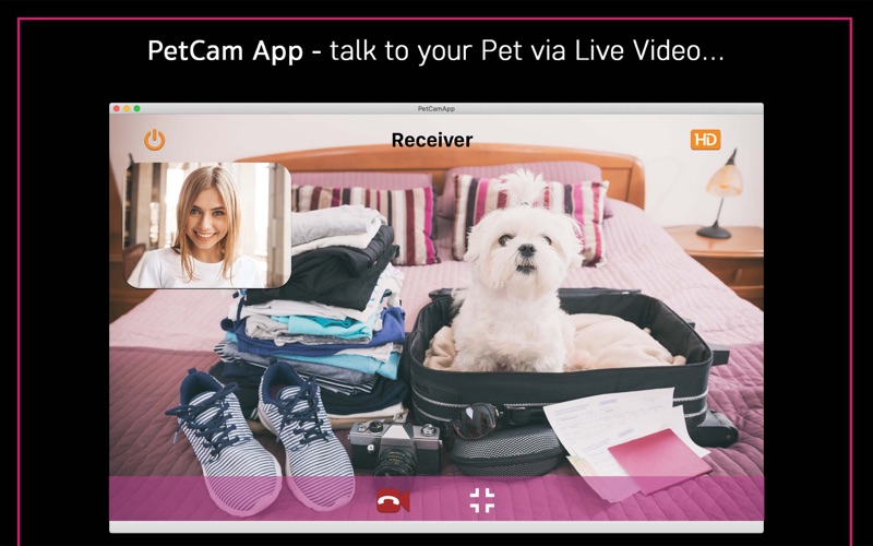 PetCam App Dog Camera App for Windows Pc & Mac Free Download (2023