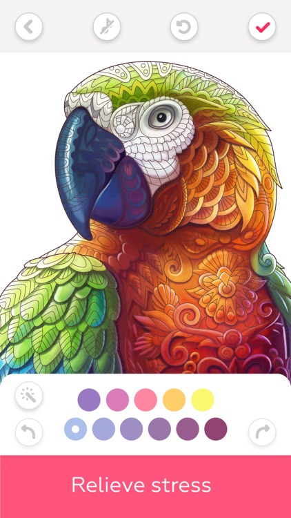 Colorful: adult coloring book