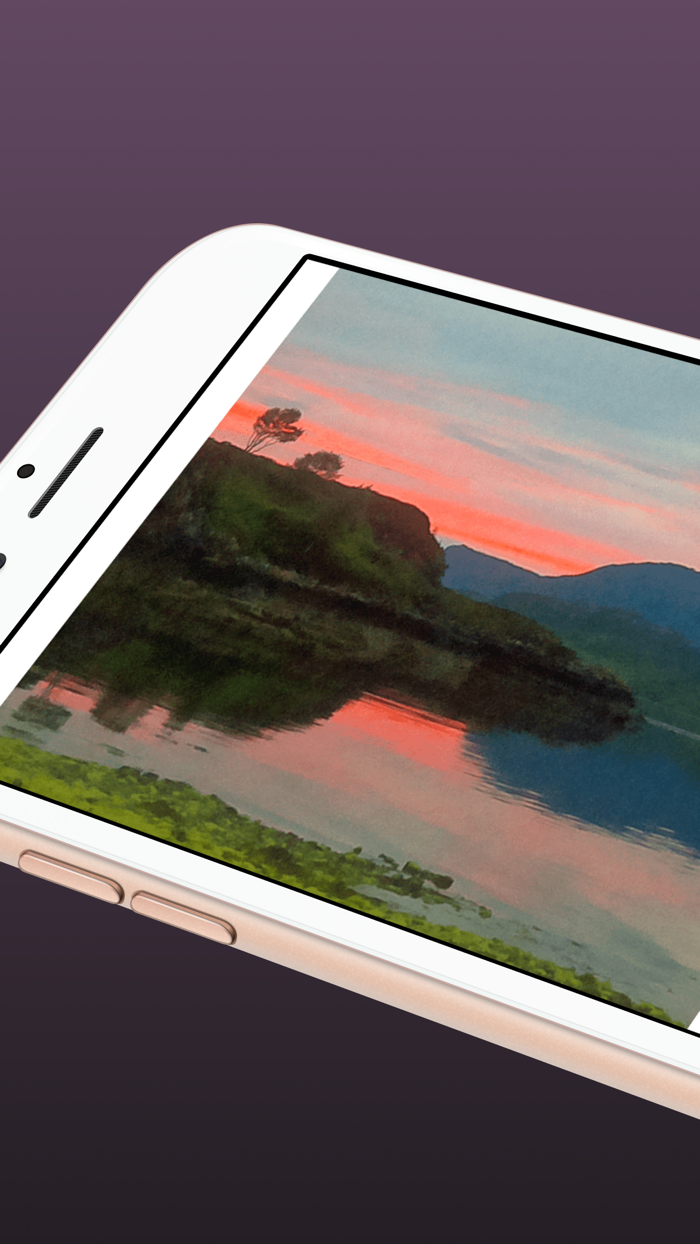 BerryCam for Raspberry Pi