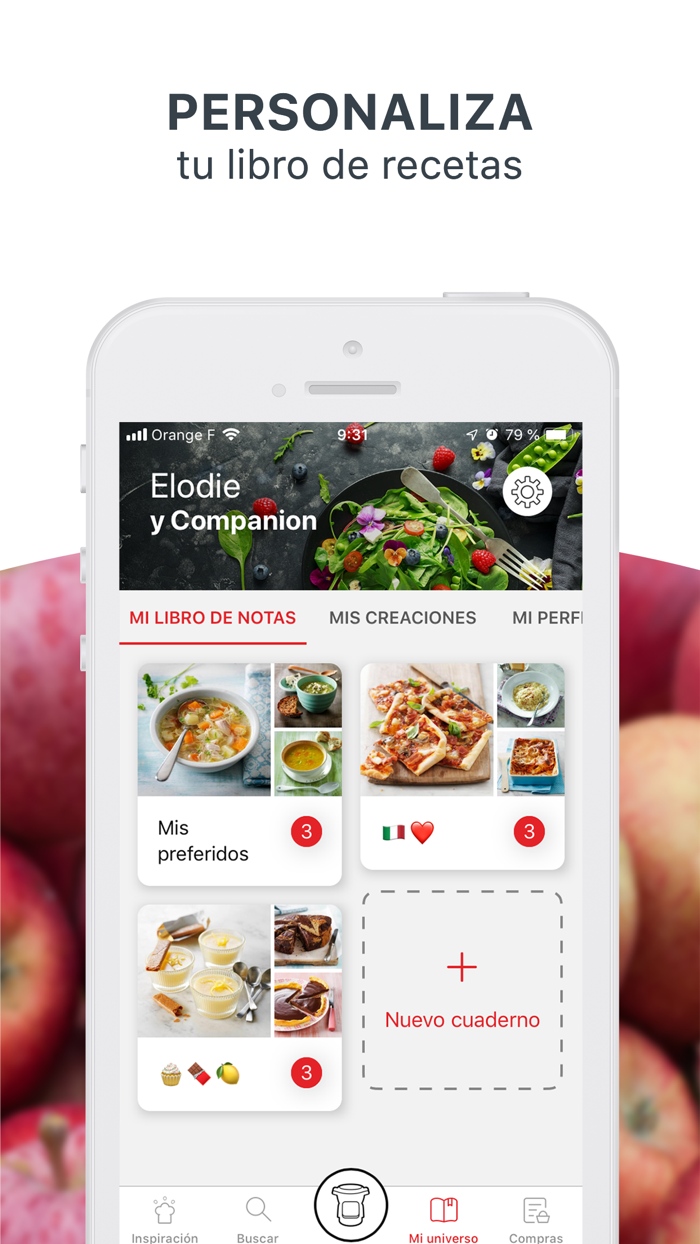 Companion de Moulinex