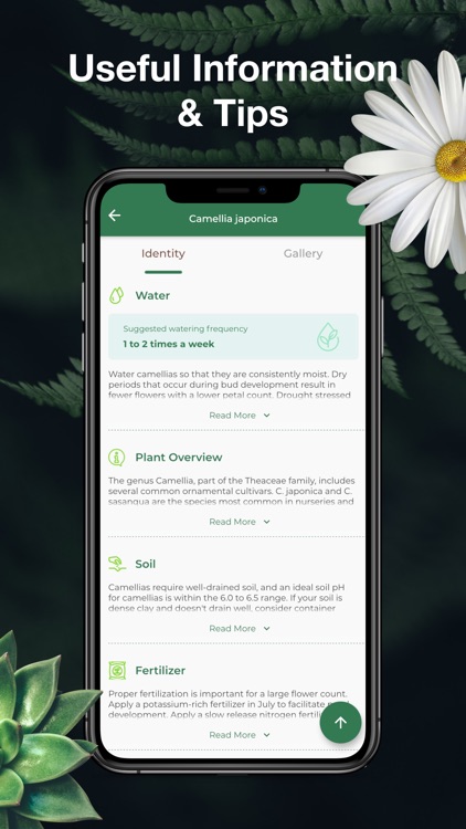 LeafSnap-Plant Identification screenshot-4