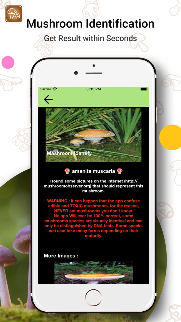 Mushroom Fungus Identifier