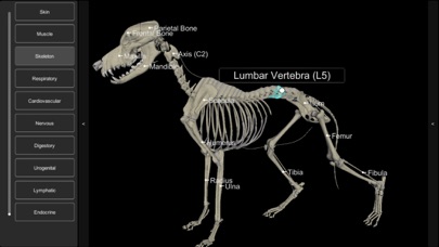 How to cancel & delete 3D Canine Anatomy from iphone & ipad 4