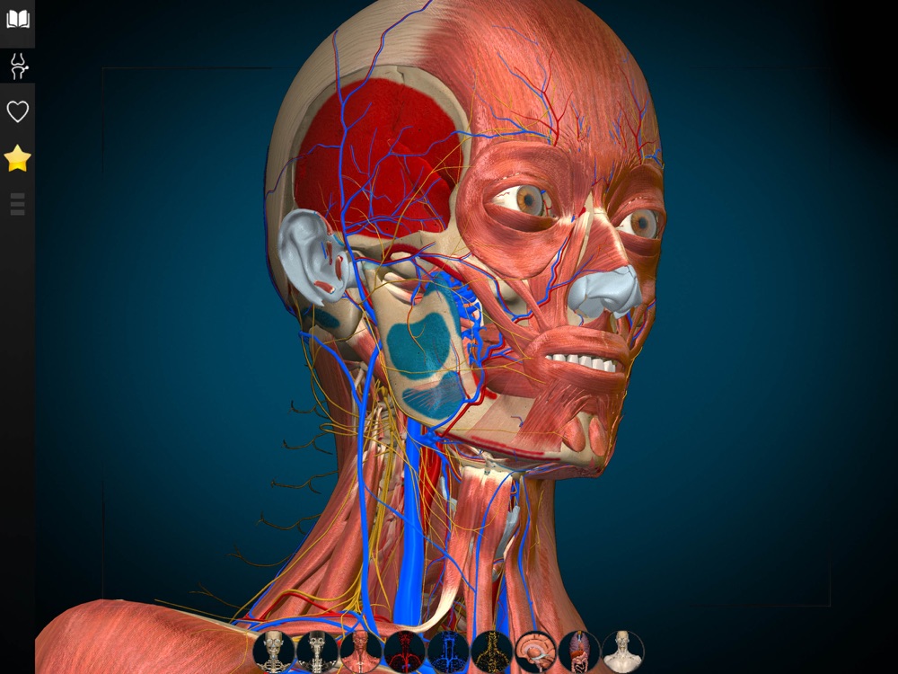 Anatomy Learning - 3D Anatomy App For IPhone - Free Download Anatomy ...