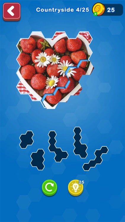 Hexa Puzzle Jigsaws screenshot-3