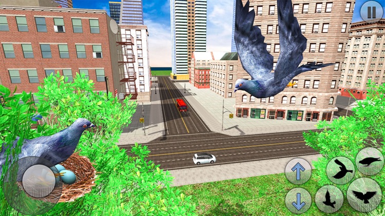 City Bird Pigeon Simulator