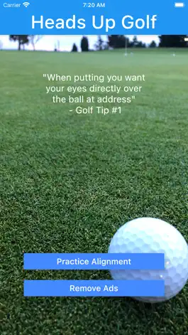 Game screenshot Heads Up Golf mod apk
