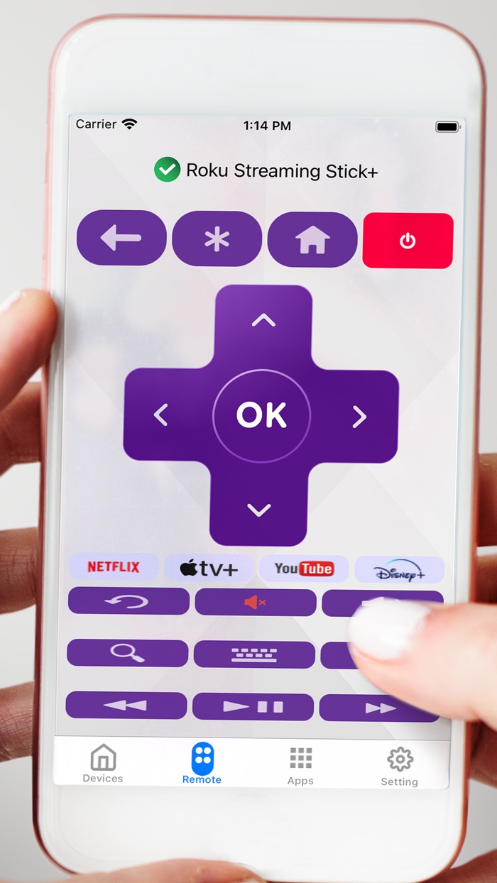 Roku Remote Control - RoVision