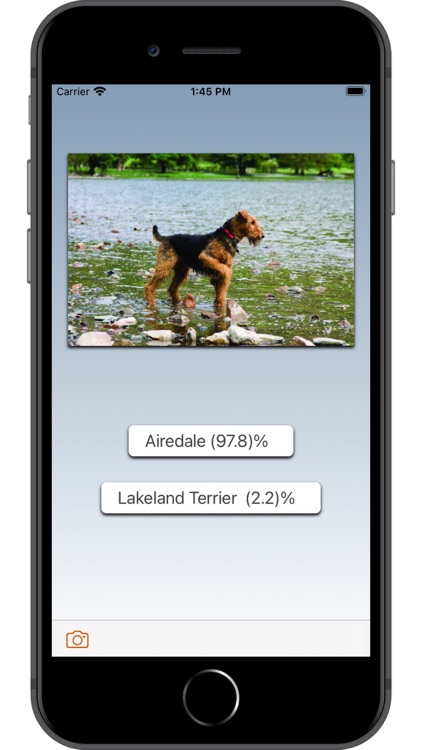 Dog Breed AI screenshot-4