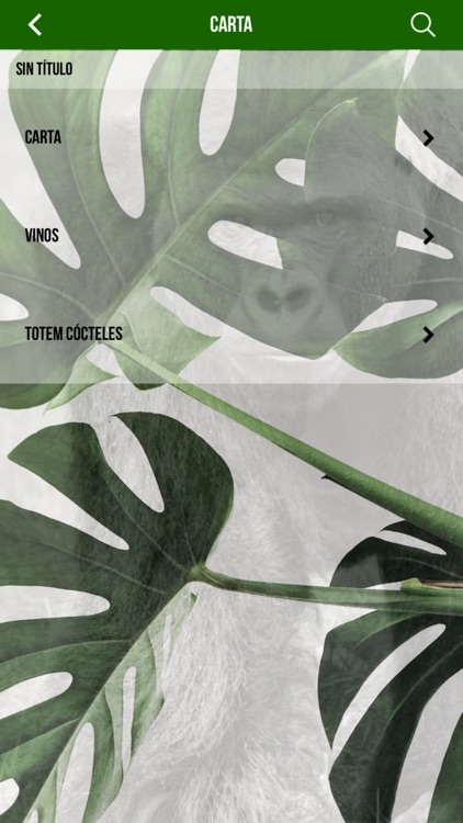 Totem Rst screenshot-3