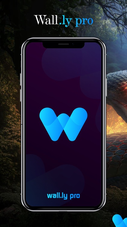 Wall.ly Pro