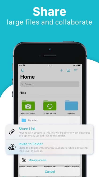 pCloud - Cloud Storage screenshot-4