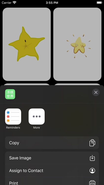 洋桃世界