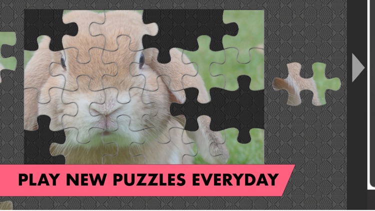 Fantastic Jigsaws screenshot-4