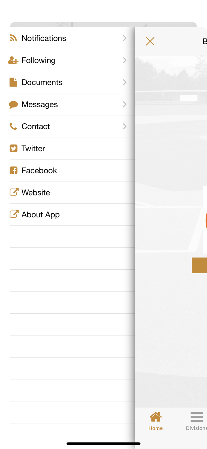 BSE Baseball Tournaments