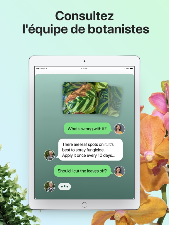 PictureThis-Identifier Plantes PictureThis-Identifier Plantes