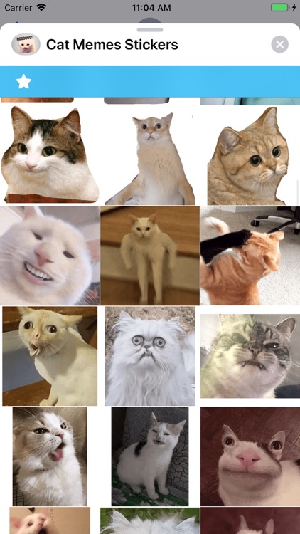 Cat Memes Stickers