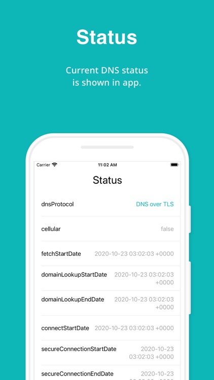 DNS Security screenshot-5