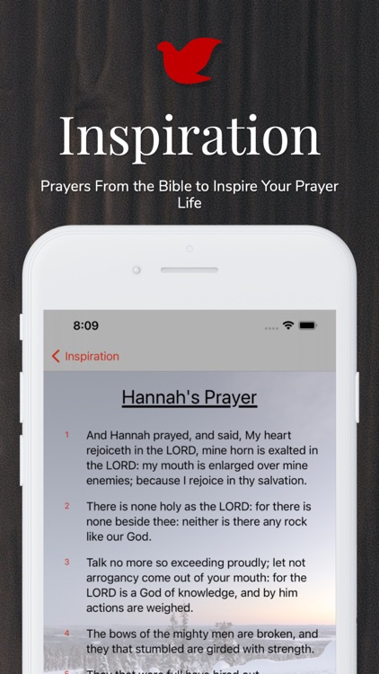Prayer. A Daily Prayer Journal screenshot-8