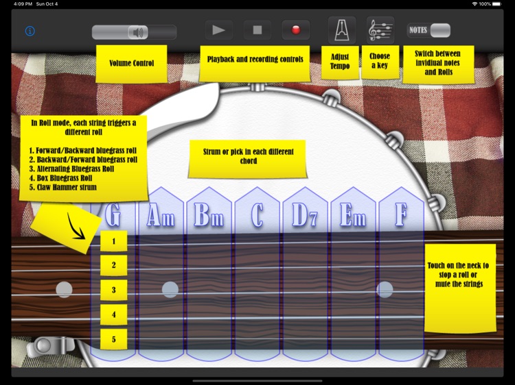 Bluegrass Banjo Professional screenshot-4