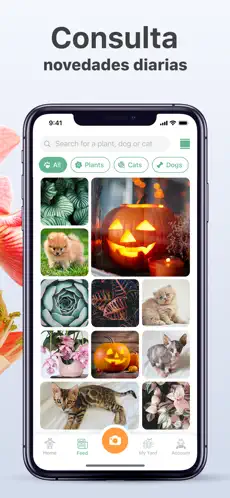 Captura de Pantalla 2 NatureID: Identifica de planta iphone