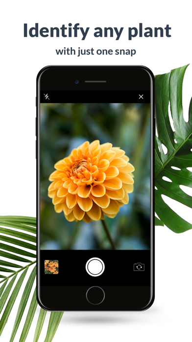 Plant Identification Lite For Android Download Free Latest Version Mod 2021