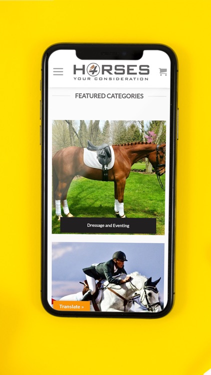 Horses 4 Your Consideration