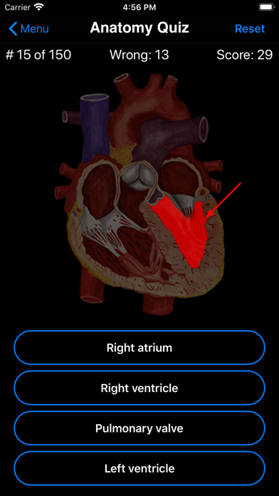 Anatomy Quiz Screenshot 2