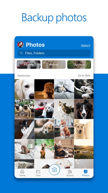 Microsoft OneDrive
