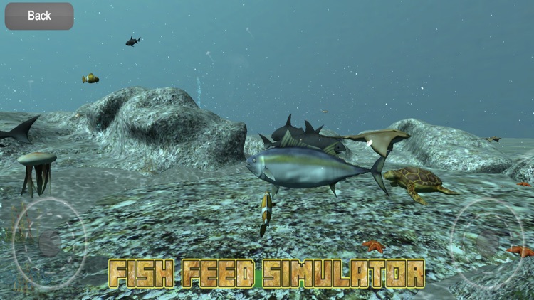 Fish Feed Simulator 3D