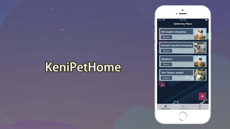 KeniPetHome