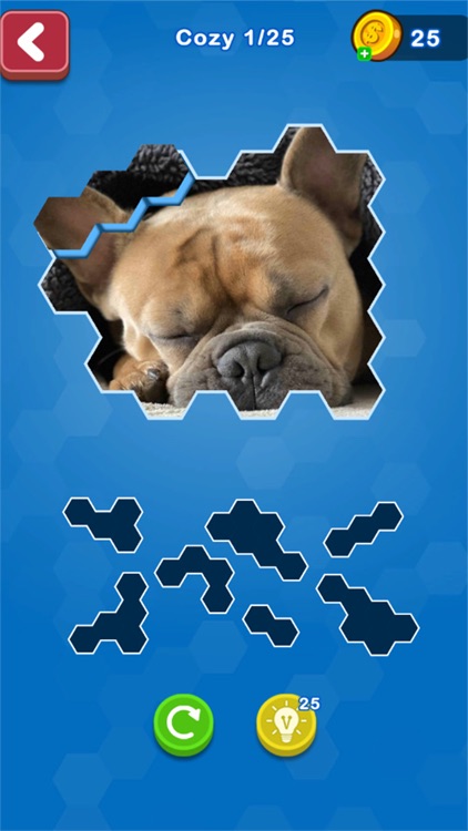 Hexa Puzzle Jigsaws